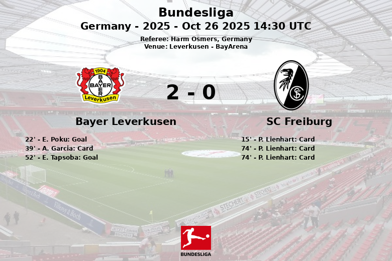 Bayer Leverkusen_SC Freiburg_1388372