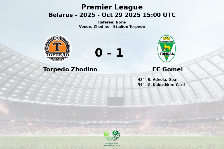 Torpedo Zhodino_FC Gomel_1479371