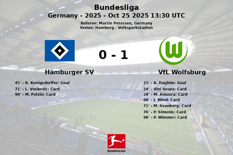 Hamburger SV_VfL Wolfsburg_1388376