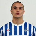 Nikola Vukajlović