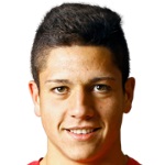 Aleksandar Cvetković