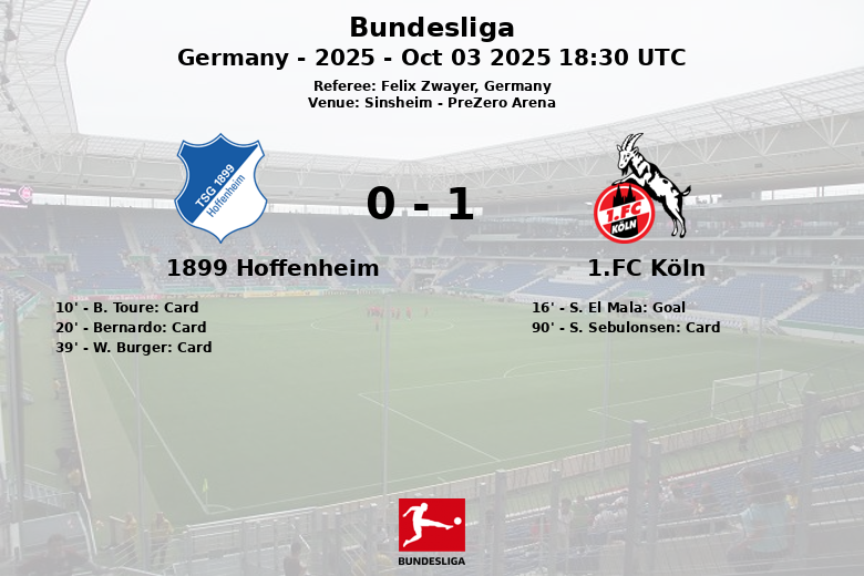 1899 Hoffenheim_1.FC Köln_1388359
