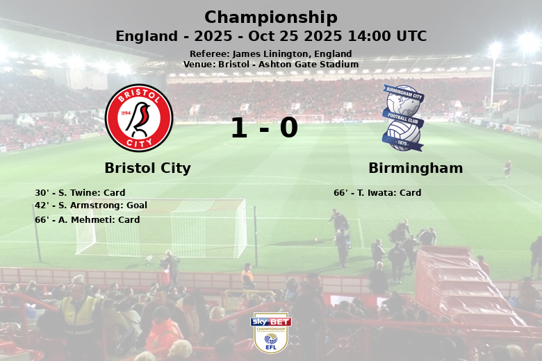 Bristol City_Birmingham_1386685