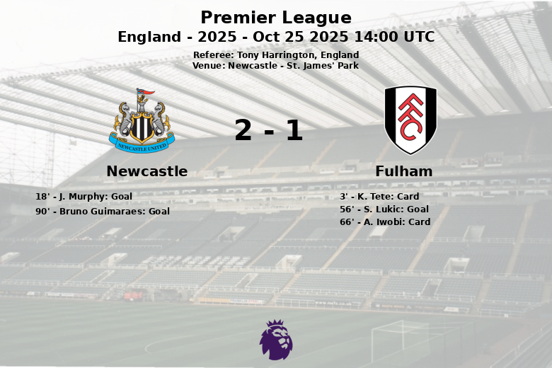 Newcastle_Fulham_1379057